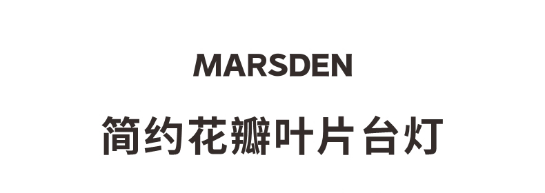 详情_01.jpg